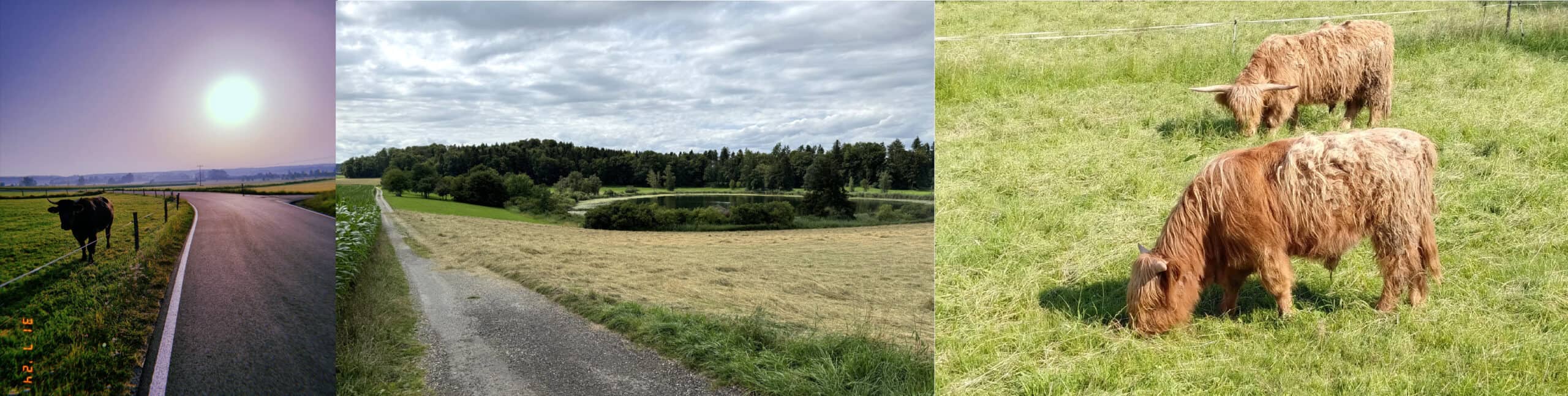 Fotowettbewerb Nachhaltig Pendeln: So schön ist unsere Region Bodensee-Oberschwaben